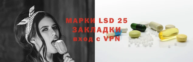ГАЛЛЮЦИНОГЕННЫЕ ГРИБЫ Аркадак