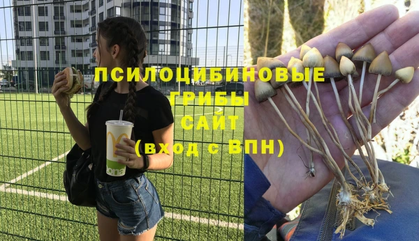 гидра Армянск