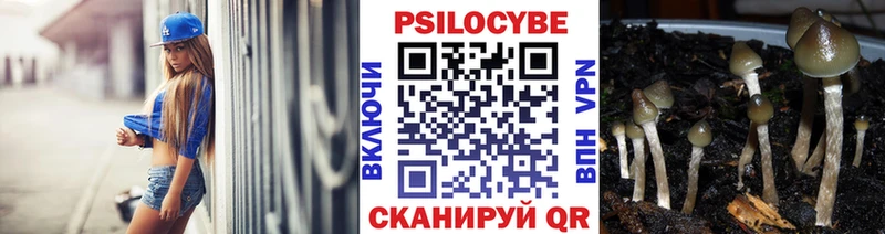 Галлюциногенные грибы GOLDEN TEACHER  купить закладку  Зеленокумск 